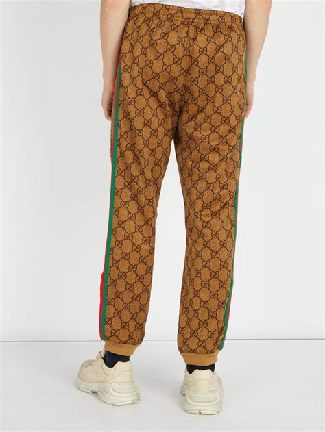 gucci brown sweatsuit